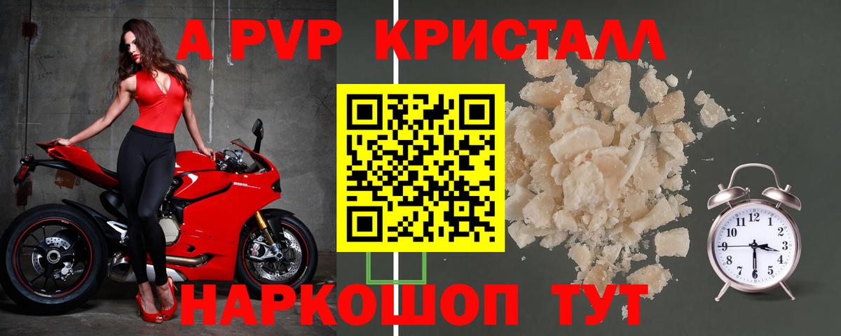 МЕФ Вологда