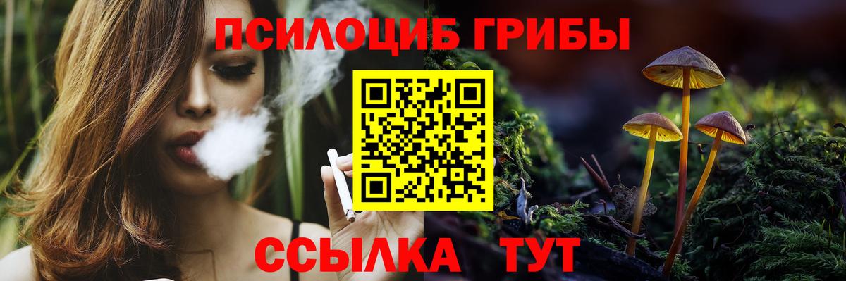 Вологда  Галлюциногенные грибы MAGIC MUSHROOMS  Вход с VPN  Галлюциногенные грибы прущие грибы 